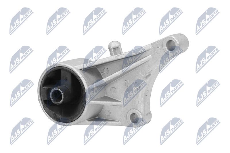 Paigutus, Mootor, NTY ZPS-PL-015