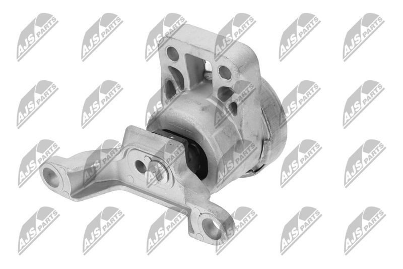 Paigutus, Mootor, NTY ZPS-FR-033