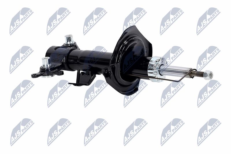 Amort, NTY A-NS-016