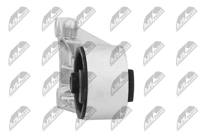 Paigutus, Mootor, NTY ZPS-PL-036