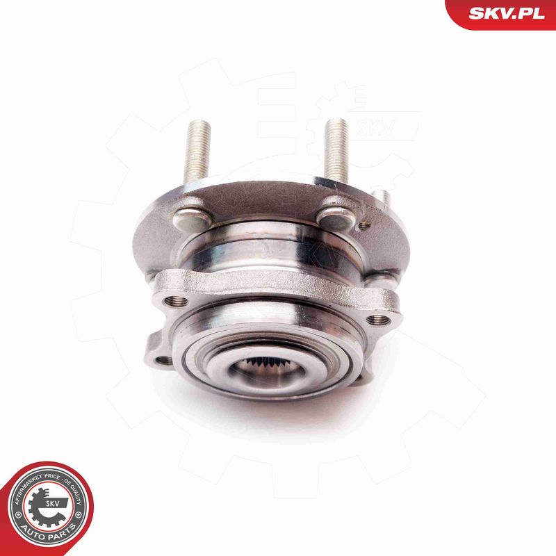 ESEN SKV 29SKV062 Wheel Bearing Kit