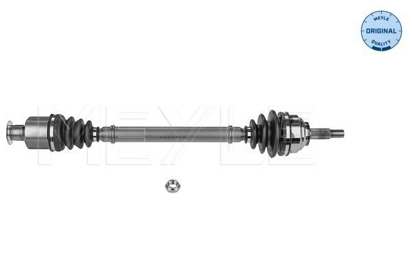 FS_16144980044_1.JPG