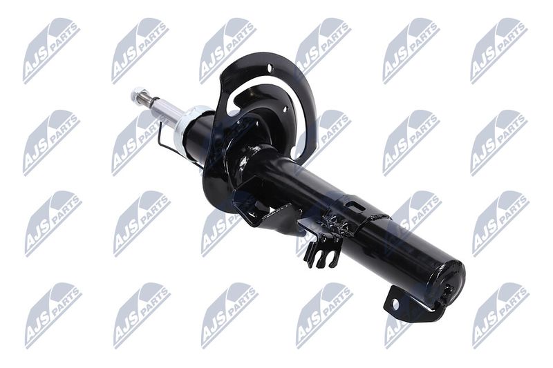 Amort, NTY A-CH-083