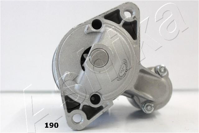 003-T190_2.JPG