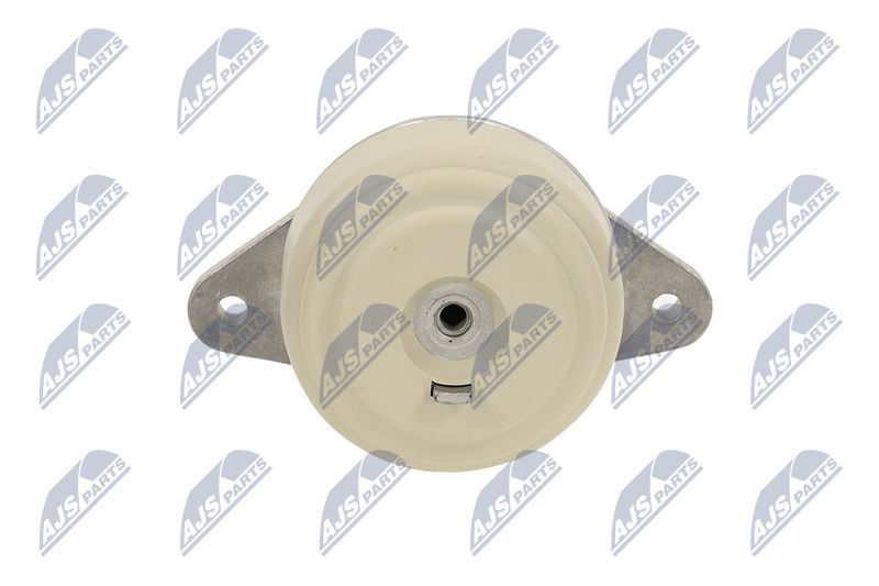 Paigutus, Mootor, NTY ZPS-ME-076