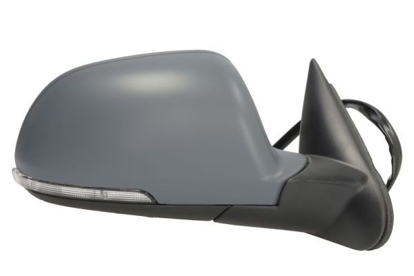 BLIC 5402-43-1312311P Exterior Mirror