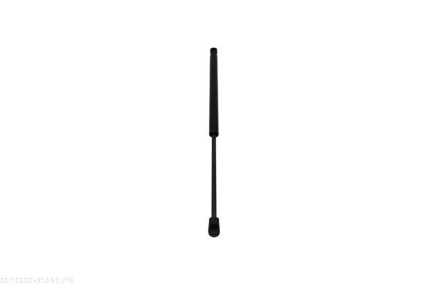 AUTOMEGA 100005310 Gas Spring, boot/cargo area