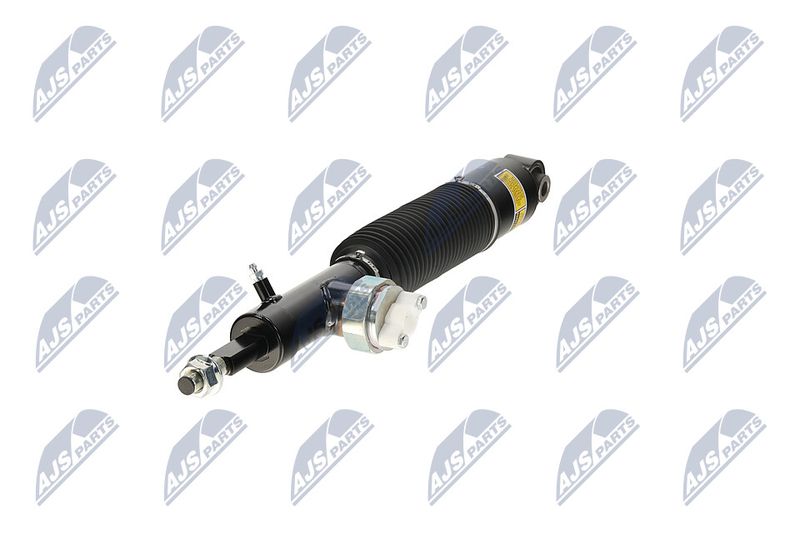 Amort, NTY A-NS-055