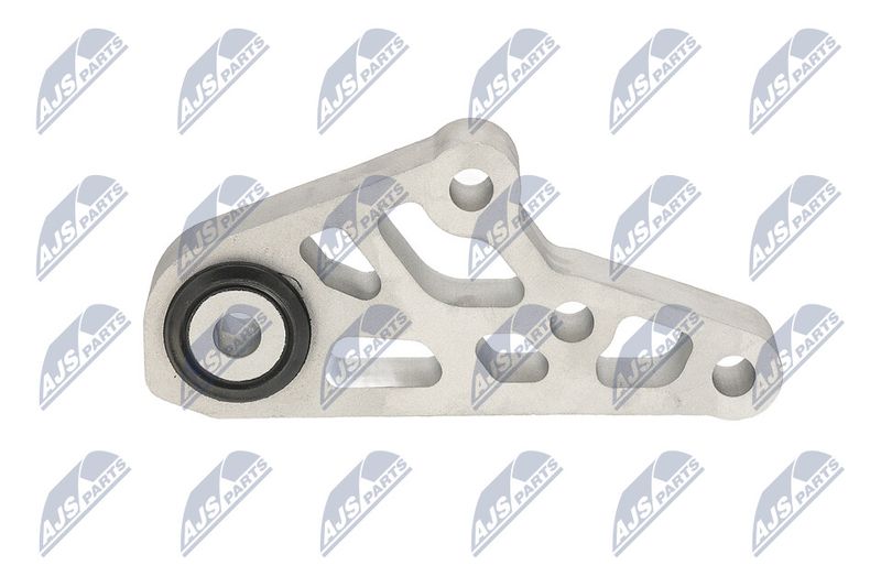 Paigutus, Mootor, NTY ZPS-CH-119