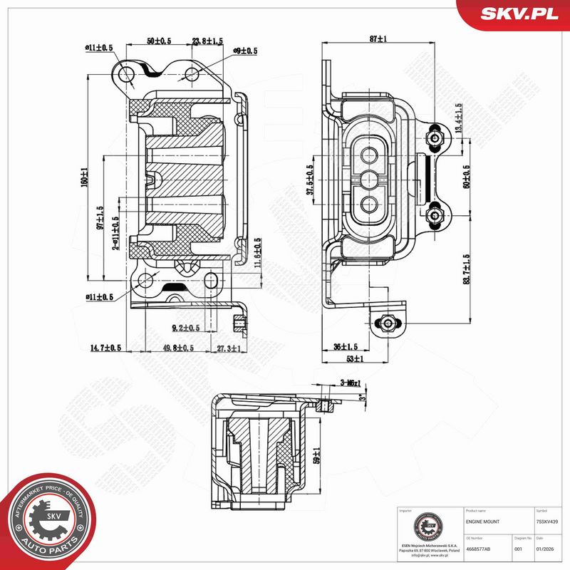ESEN SKV 75SKV439 Variklio pagalvė