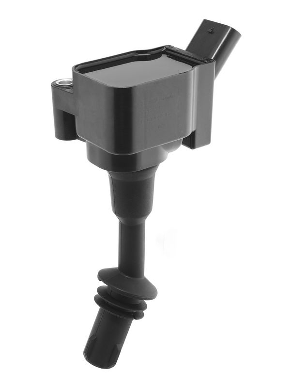 ZSE331_02.JPG
