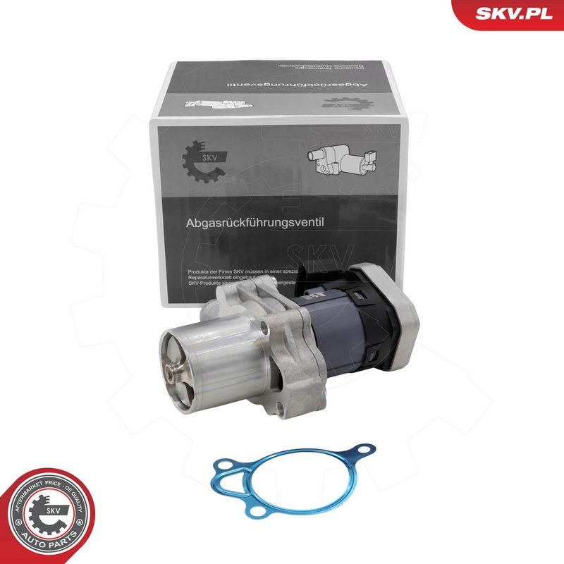 EGR-klapp, ESEN SKV 14SKV305