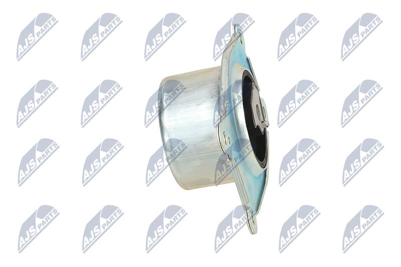 Paigutus, Mootor, NTY ZPS-PL-044