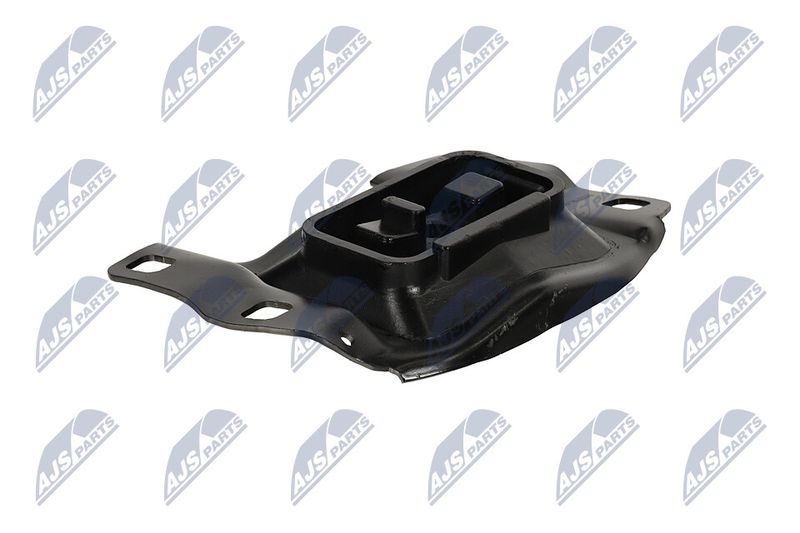 Paigutus, Mootor, NTY ZPS-FR-005