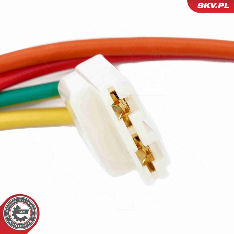 ESEN SKV 65SKV204 Steering Lock