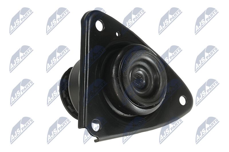 Paigutus, Mootor, NTY ZPS-KA-306