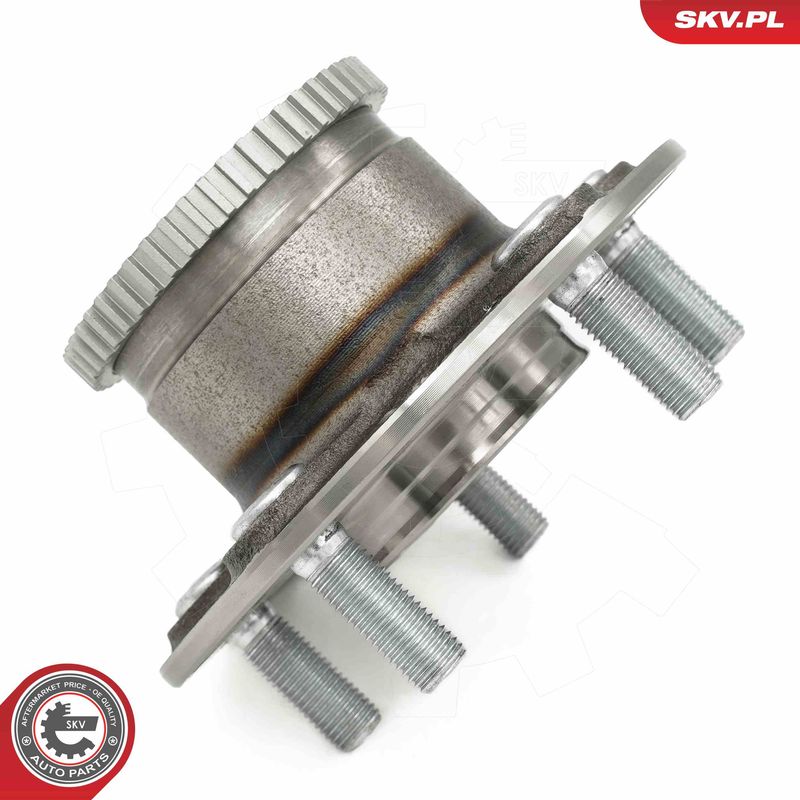 ESEN SKV 29SKV655 Wheel Bearing Kit