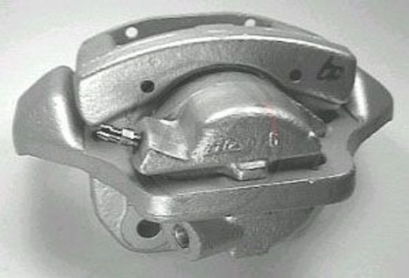 423591.JPG
