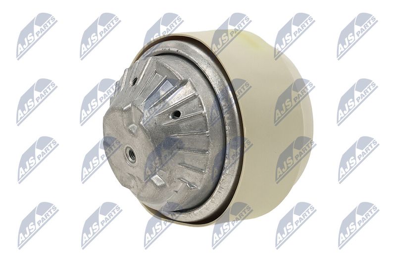 Paigutus, Mootor, NTY ZPS-ME-101