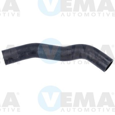 VE55800.JPG