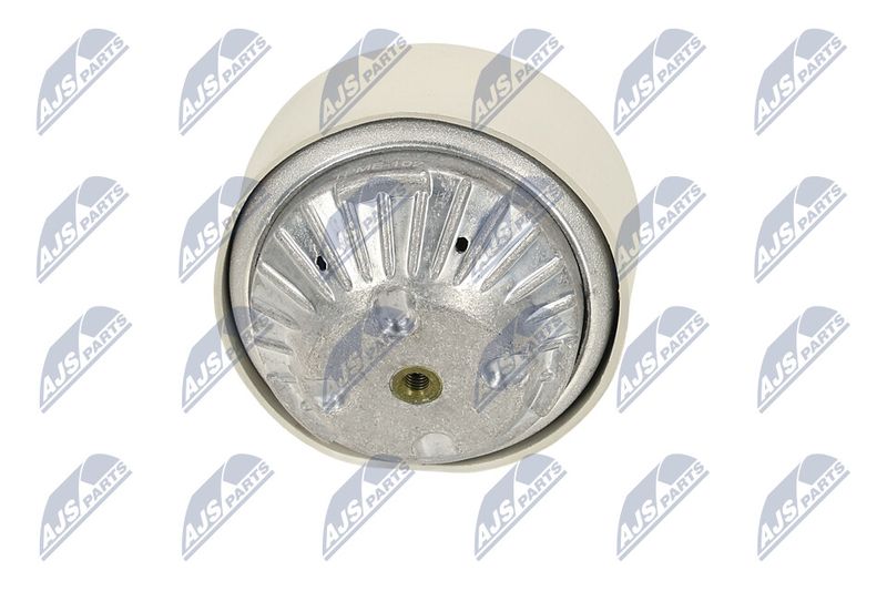 Paigutus, Mootor, NTY ZPS-ME-102