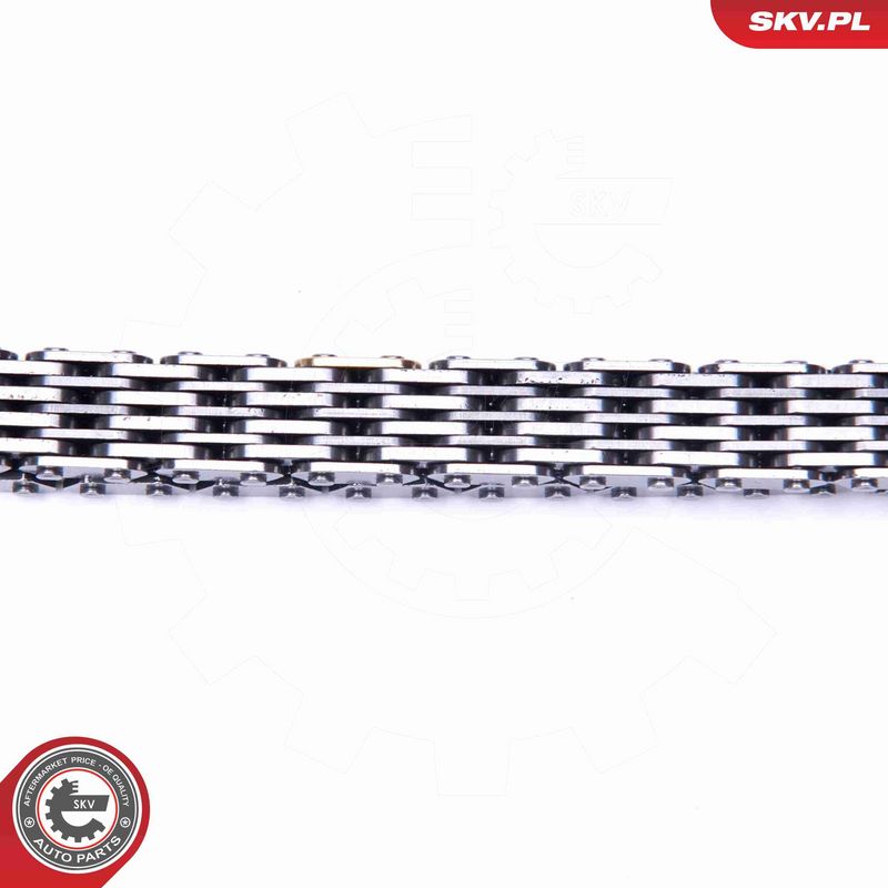 ESEN SKV 21SKV206 Timing Chain Kit