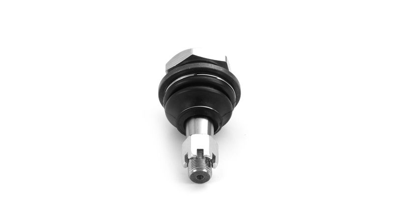 SKF VKDS 812008 Šarnyras / girgždukas