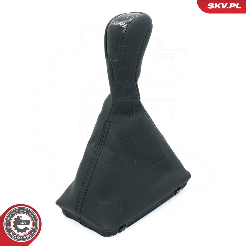 Käigukanginupp, ESEN SKV...