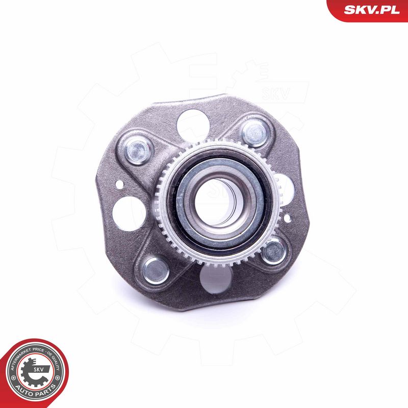 Rattalaagrikomplekt, ESEN SKV 29SKV291