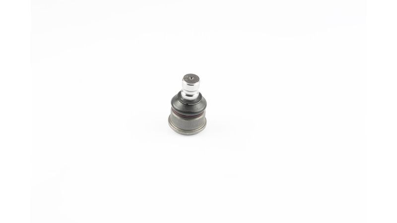 SKF VKDS 316006 Šarnyras / girgždukas