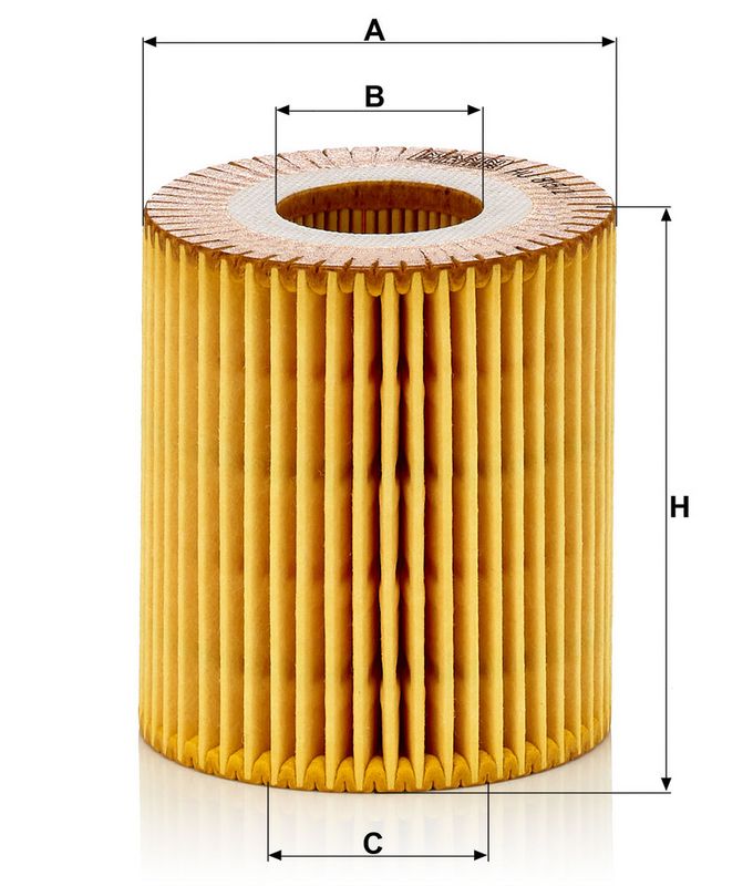 Õlifilter, MANN-FILTER HU 815, 2 x