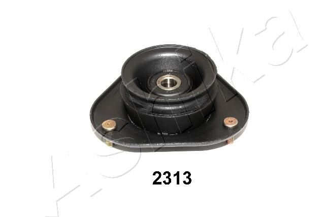 GOM-2313_2.JPG