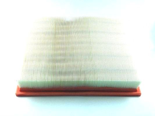48906.JPG