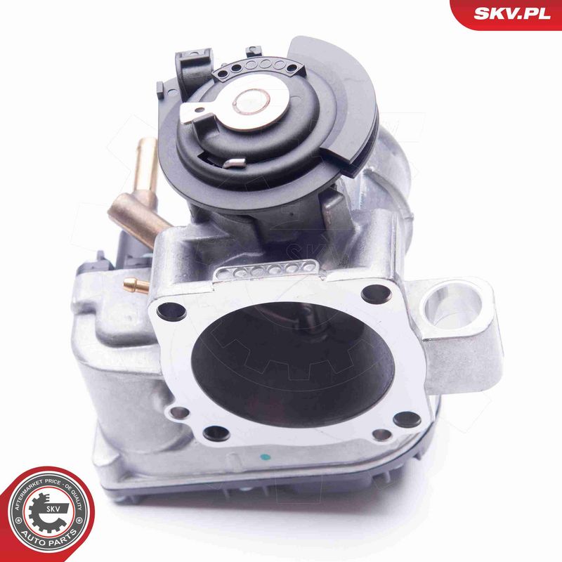 ESEN SKV 12SKV035 Throttle Body