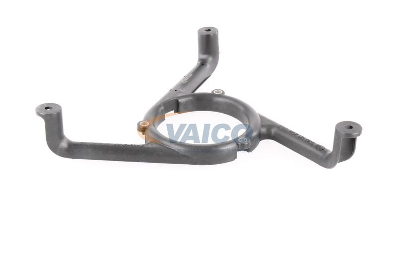 VAICO V10-9736 Support, radiator fan