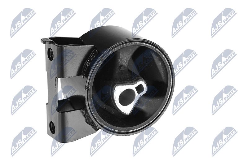 Paigutus, Mootor, NTY ZPS-CH-054