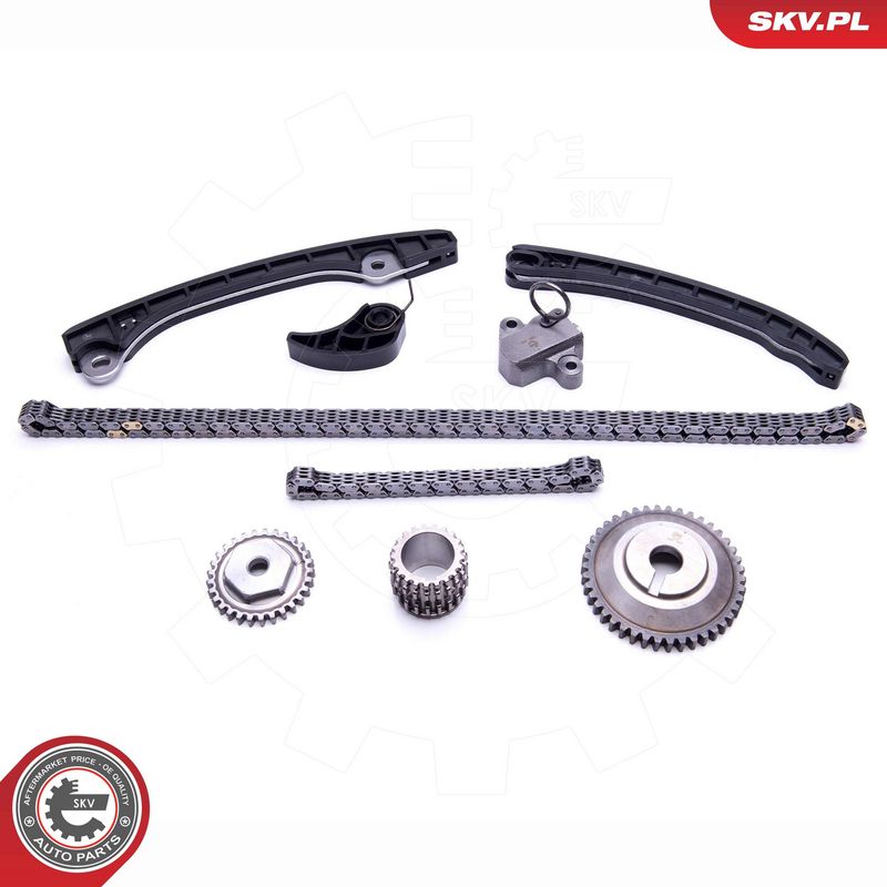 Mootori keti komplekt, ESEN SKV 21SKV248