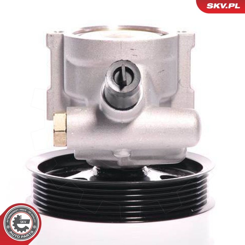 Hüdraulikapump, roolimine, ESEN SKV 10SKV108