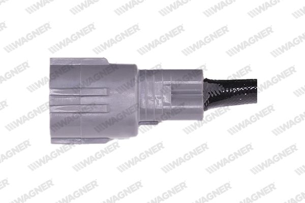 lbs00150_5307691.JPG