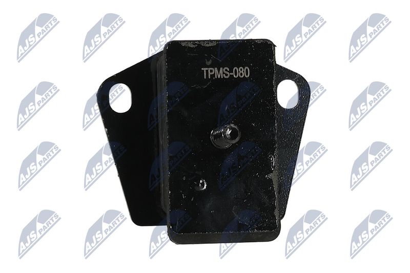 Paigutus, Mootor, NTY ZPS-MS-080