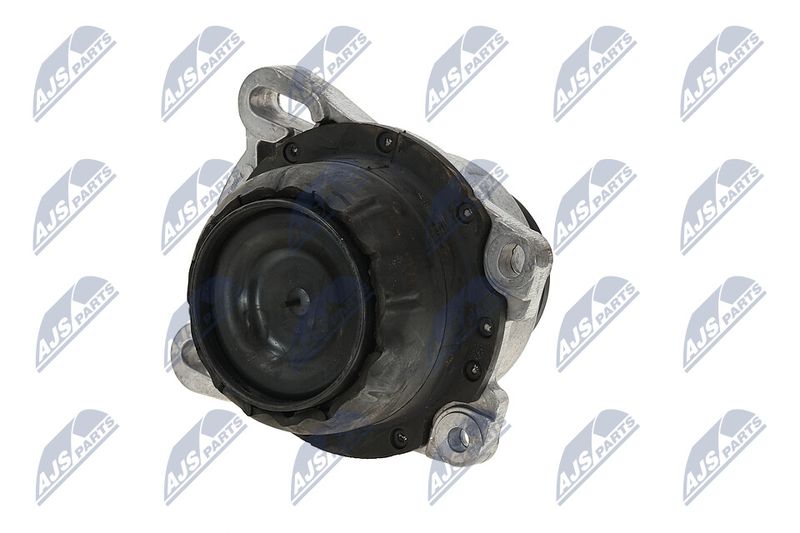 Paigutus, Mootor, NTY ZPS-FR-013