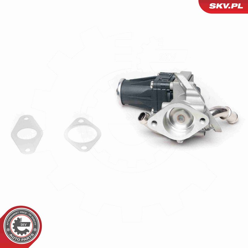 ESEN SKV 14SKV100 - EGR Valve