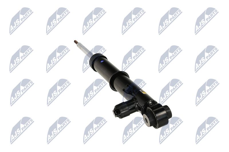 Amort, NTY A-LR-034