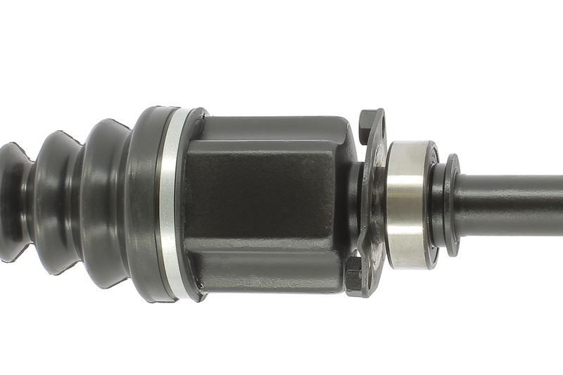 CEVAM 5881 Pusašis
