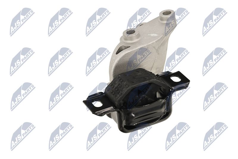 Paigutus, Mootor, NTY ZPS-ME-068