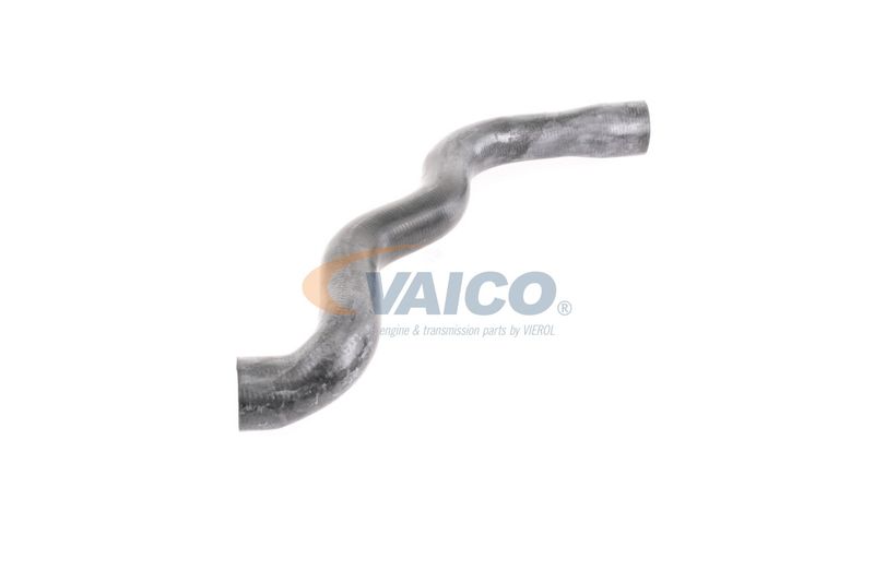 VAICO V30-2915 Radiator Hose