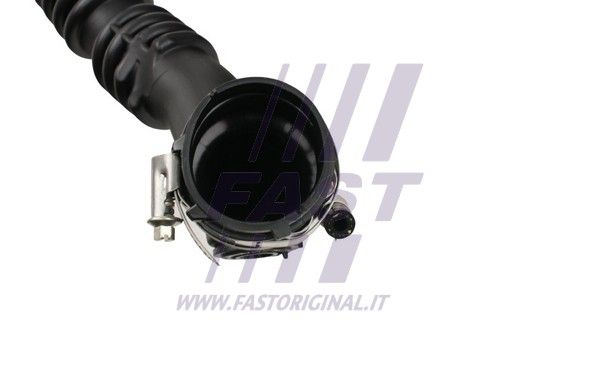FT65151_3_1.JPG