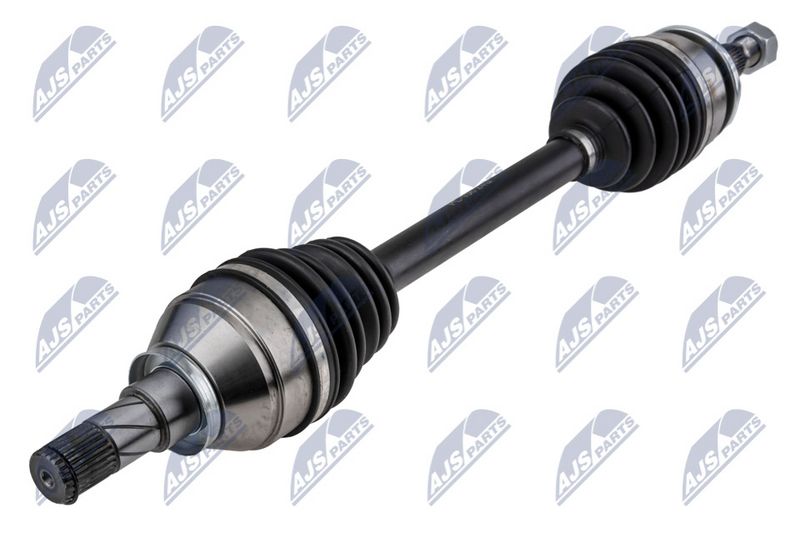 NPW-PL-156_1-WM.JPG