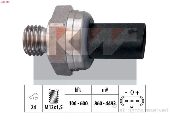 480 019-KW.JPG