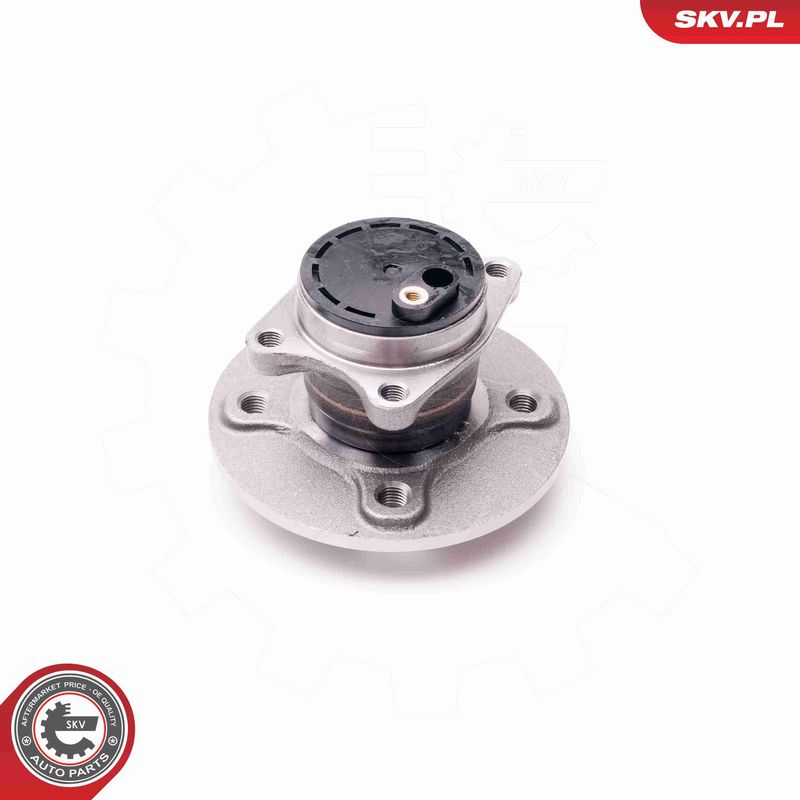 ESEN SKV 29SKV167 Wheel Bearing Kit